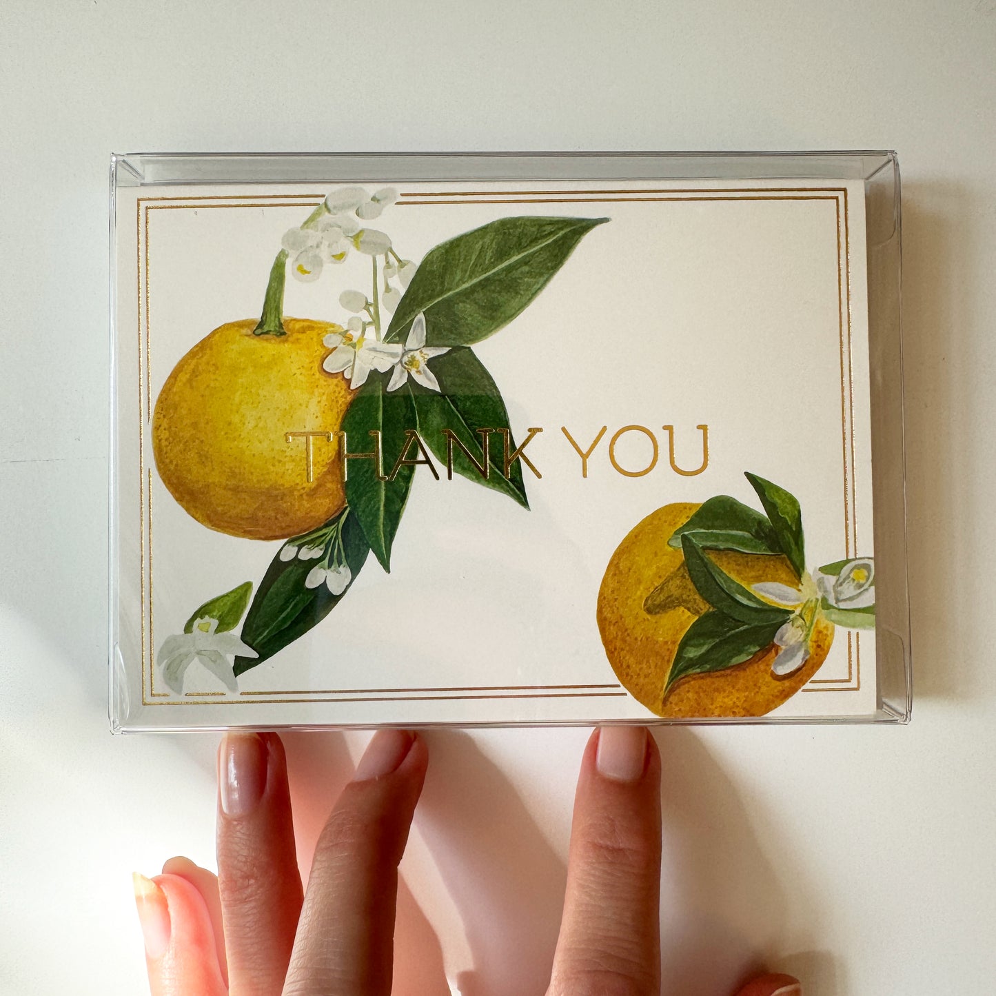 Orange Blossom Thank You Card (Gold Foil) Set (6)