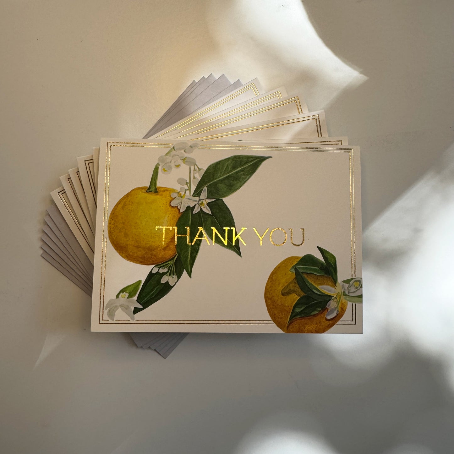 Orange Blossom Thank You Card (Gold Foil) Set (6)