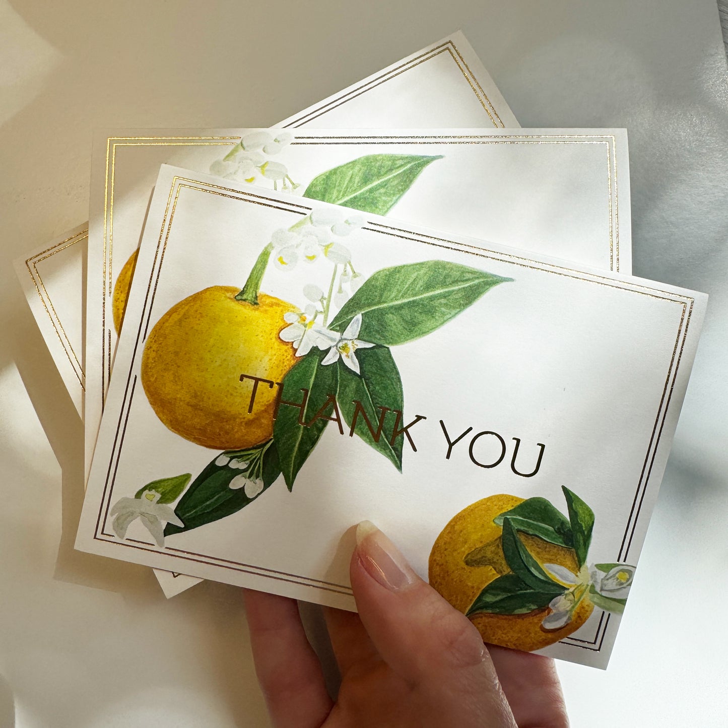 Orange Blossom Thank You Card (Gold Foil) Set (6)