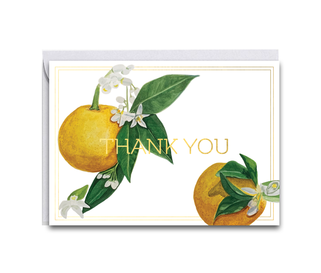 Orange Blossom Thank You Card (Gold Foil) Set (6)