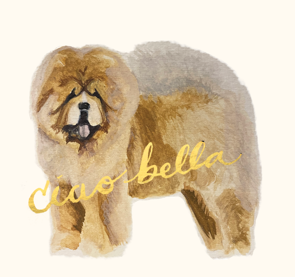 Canine Compadres Ciao Bella Flat Card Set (6)