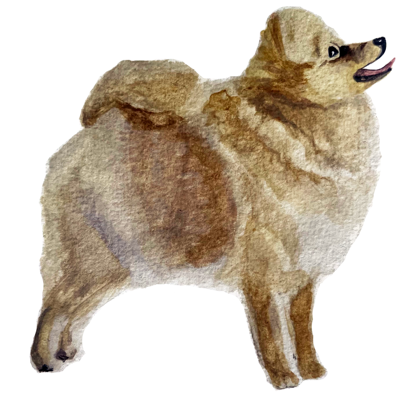 Pet Portrait: Puppy Package ($200)