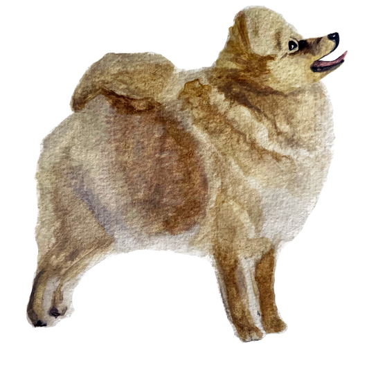 Pet Portrait: Puppy Package ($200)