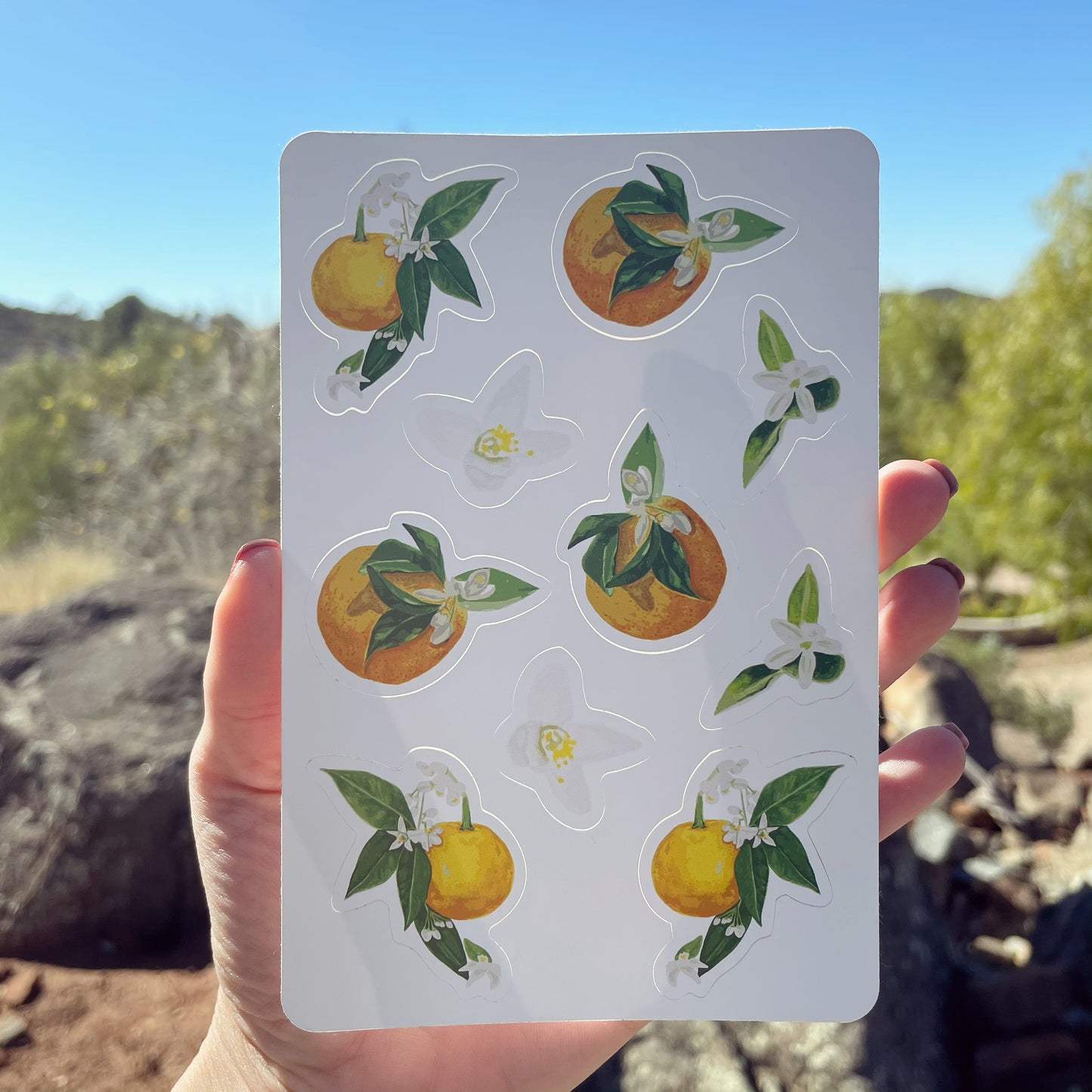 Orange Blossom Stickers