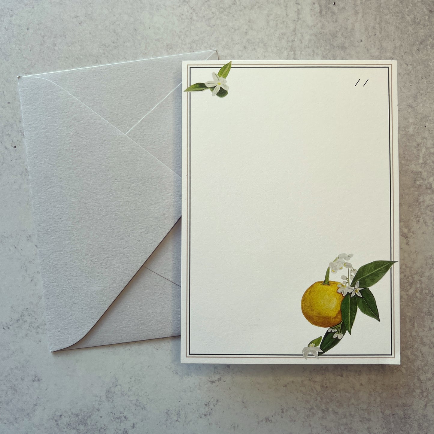 Orange Blossom Full Collection Boxed Set