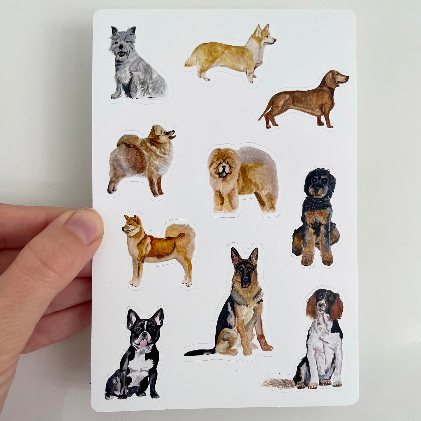 Canine Compadres Stickers