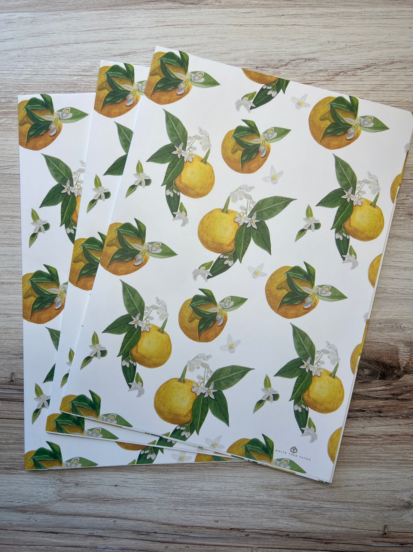 Orange Blossom Full Collection Boxed Set