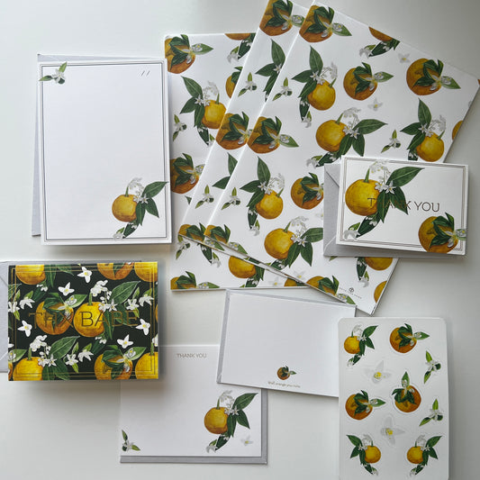 Orange Blossom Full Collection Boxed Set
