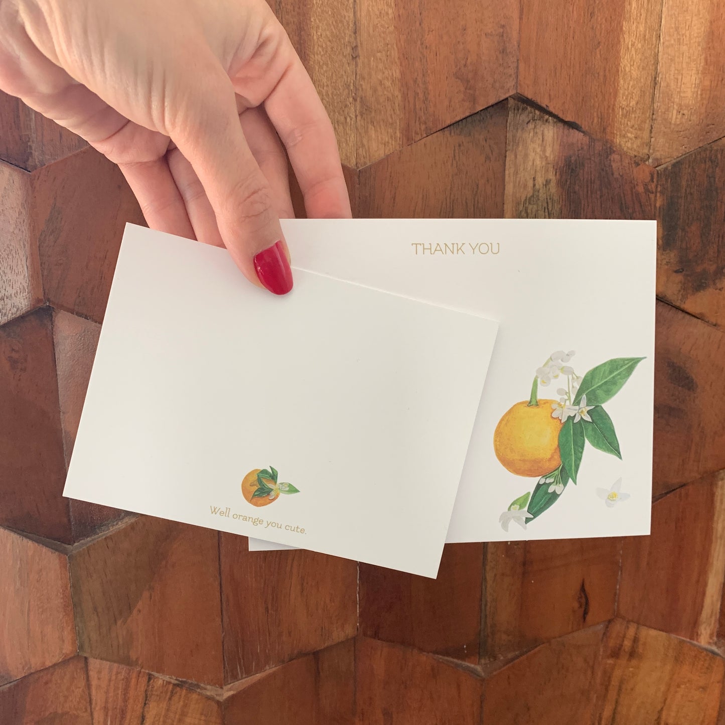Orange Blossom Full Collection Boxed Set