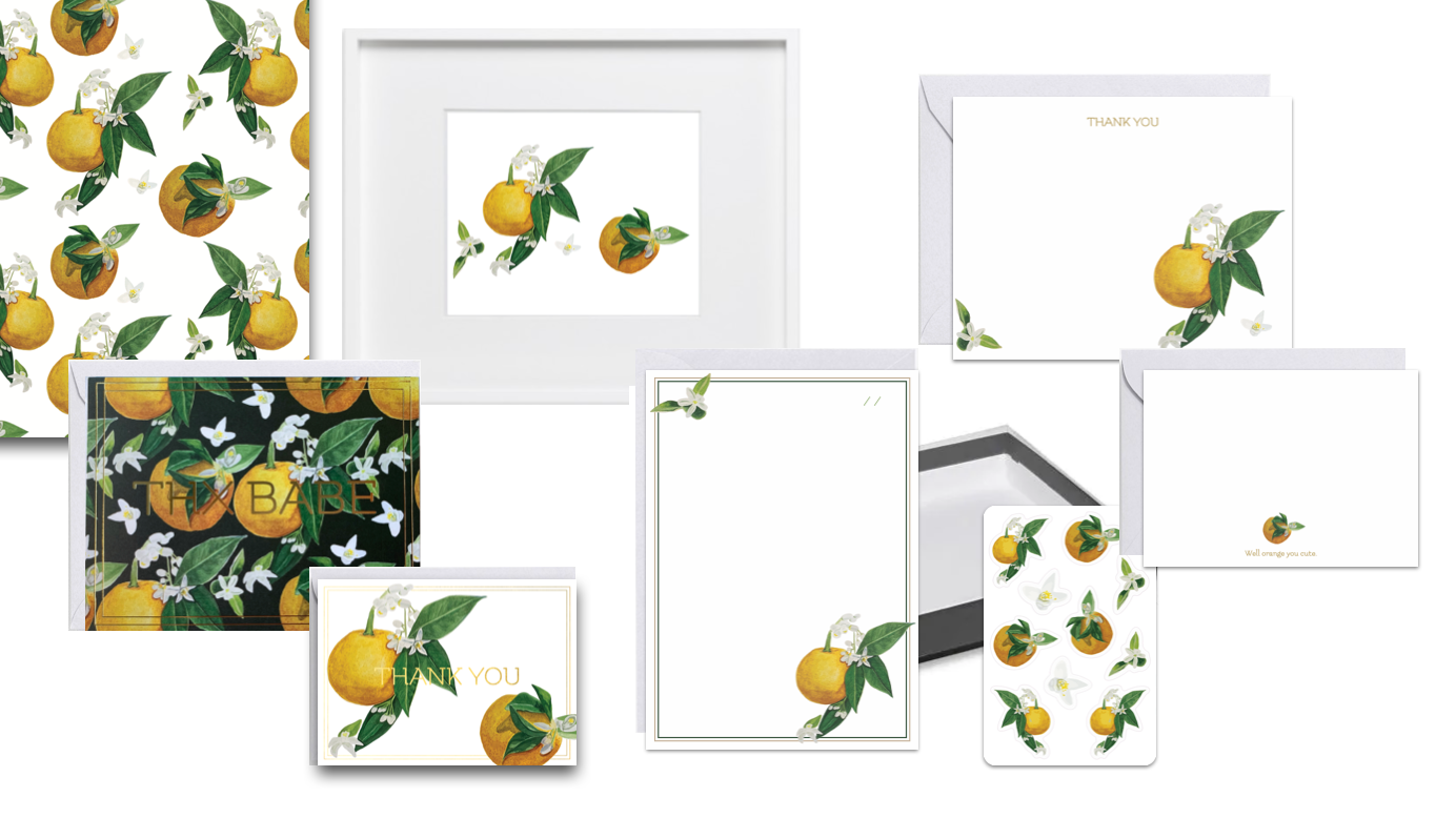 Orange Blossom Full Collection Boxed Set