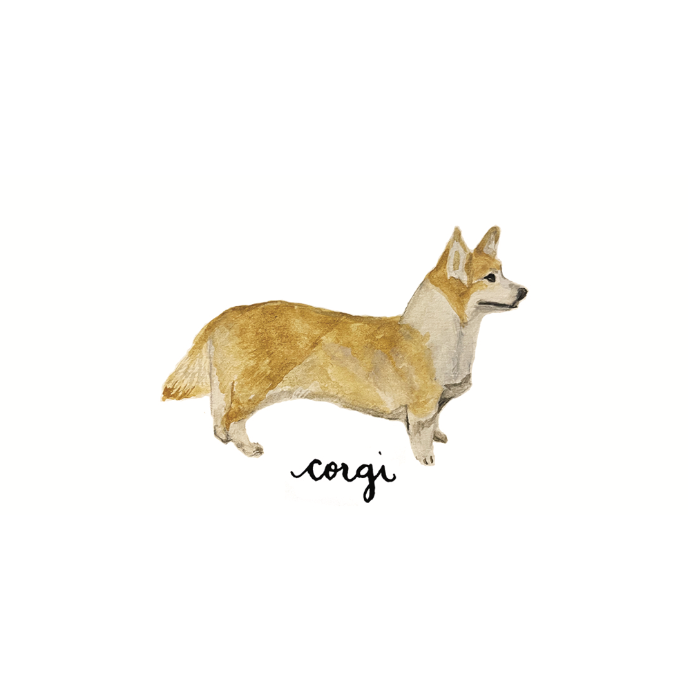 Canine Compadres Notecard Set