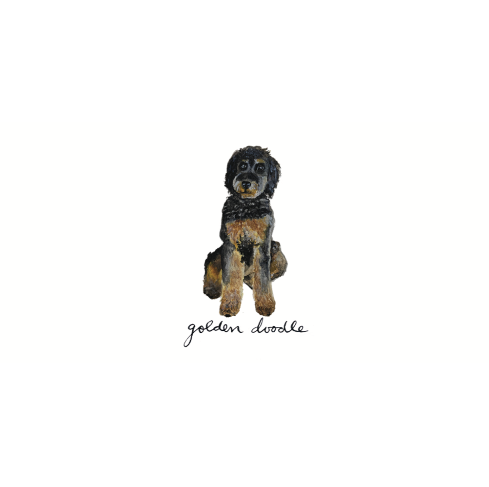 Canine Compadres Notecard Set