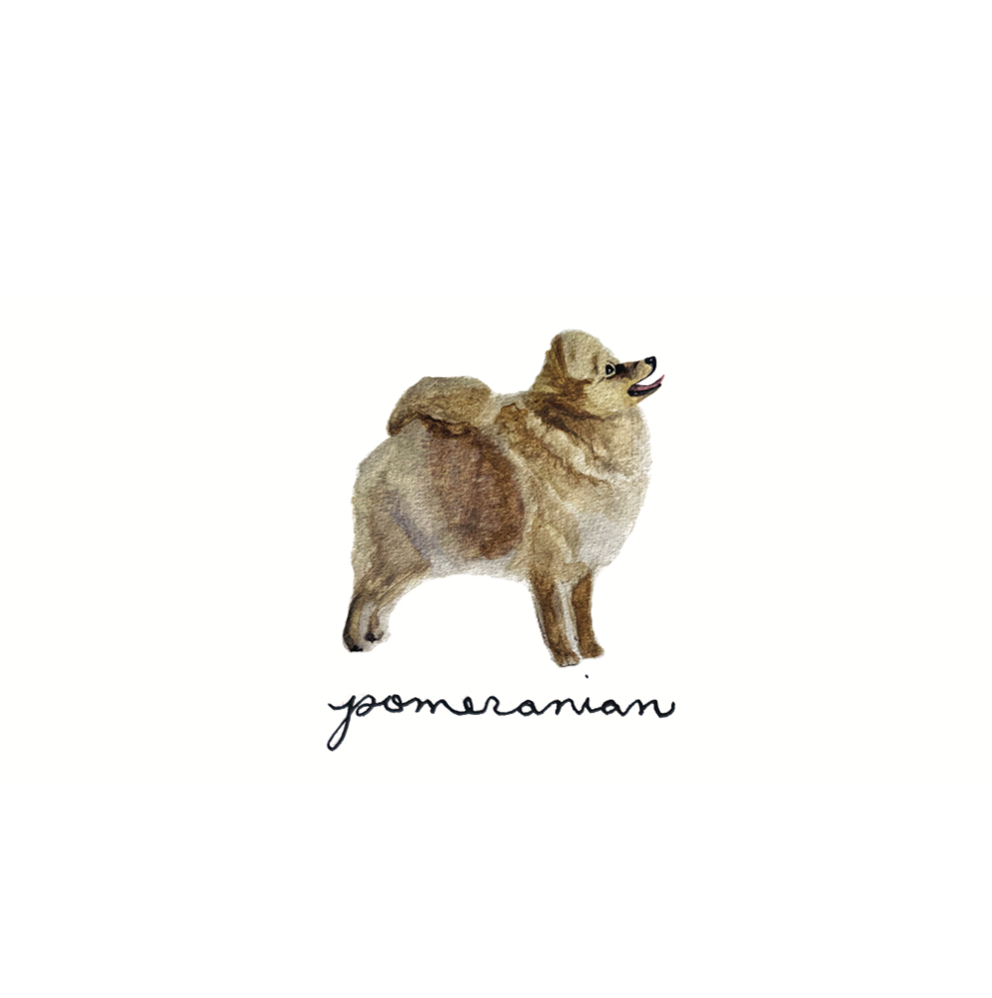 Canine Compadres Notecard Set