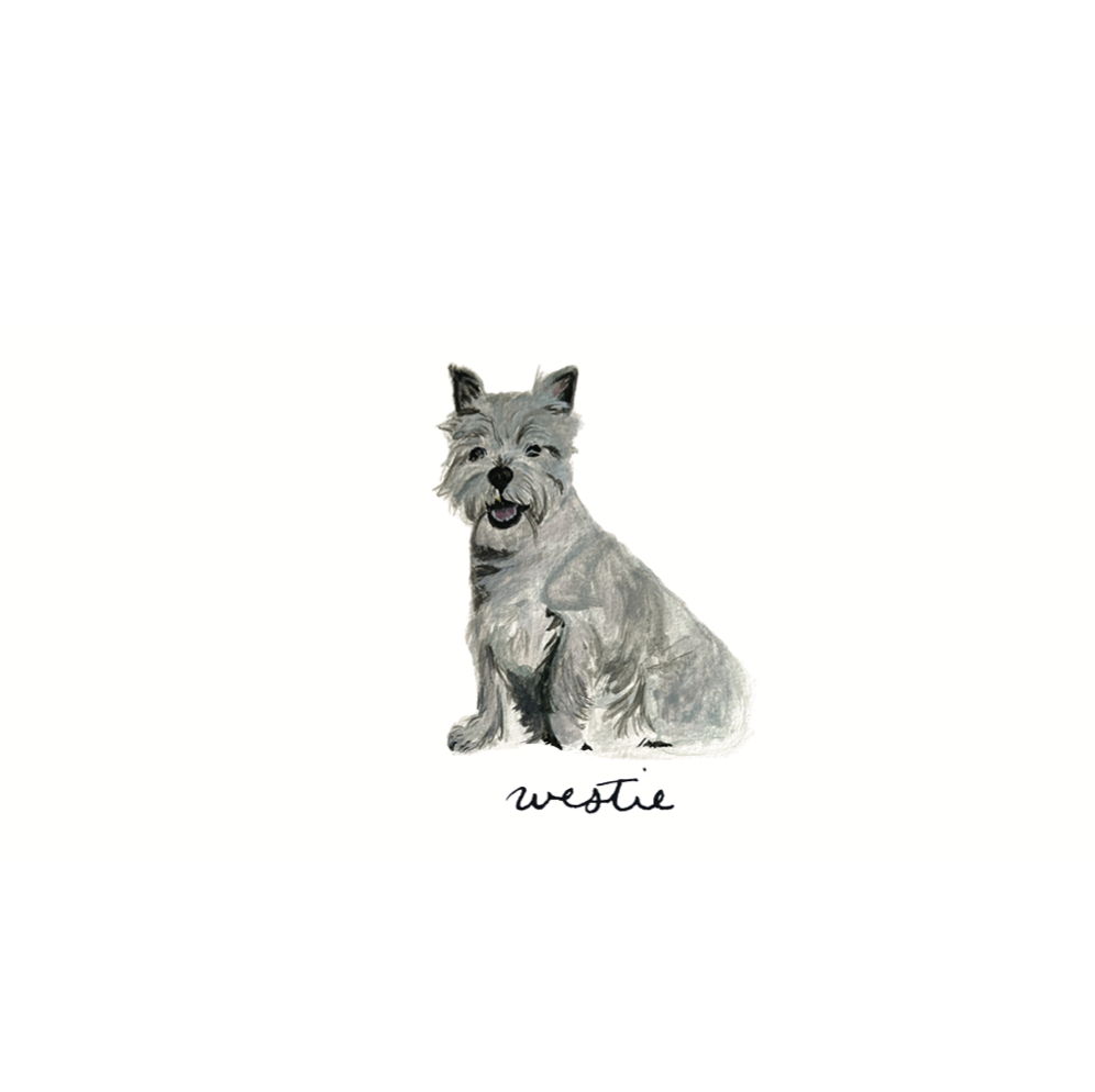 Canine Compadres Notecard Set