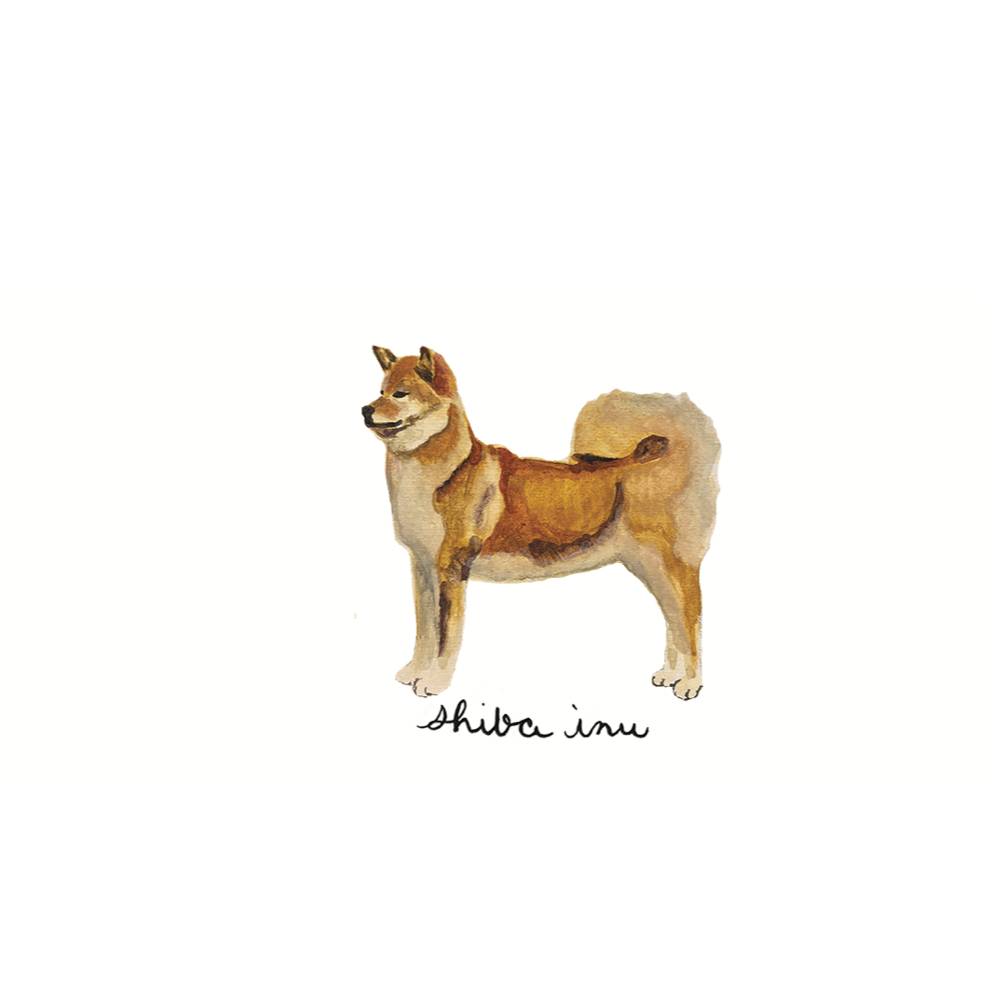 Canine Compadres Notecard Set