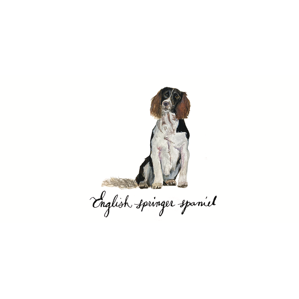 Canine Compadres Notecard Set