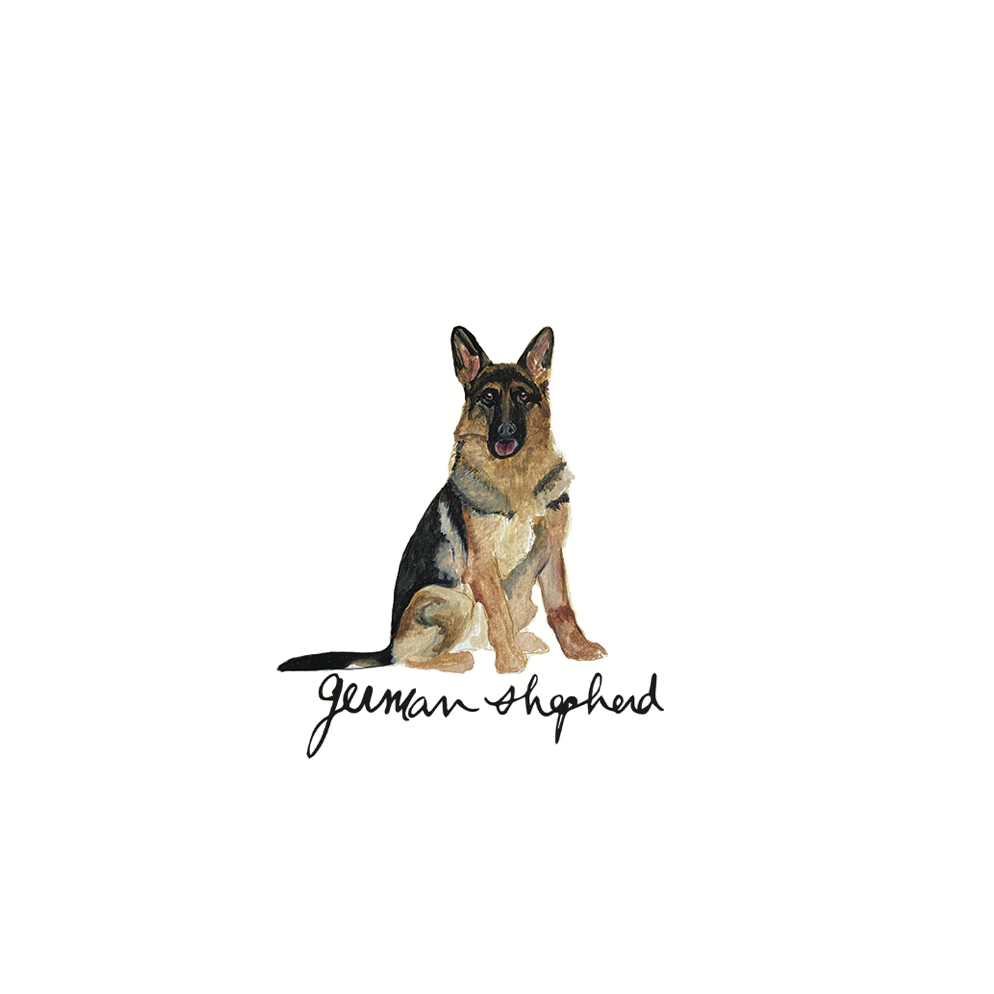 Canine Compadres Notecard Set