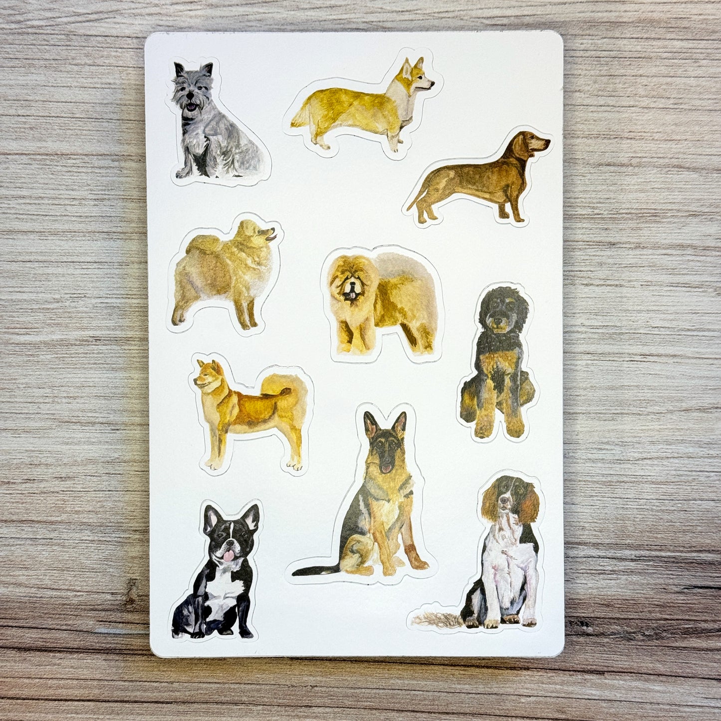 Canine Compadres Stickers