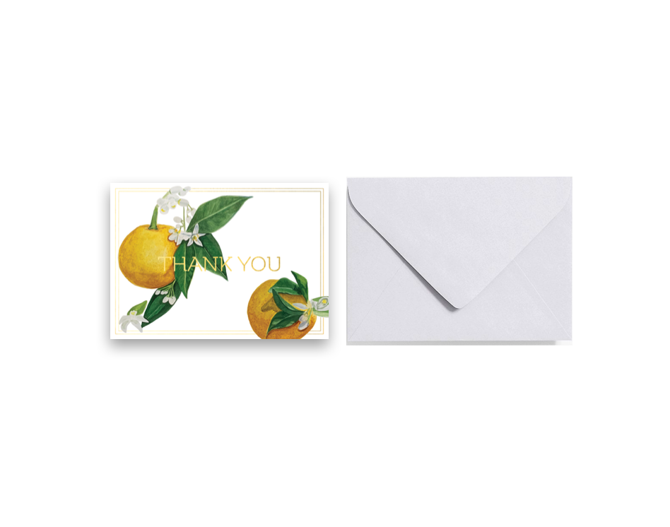 Orange Blossom Thank You Card (Gold Foil) Set (6)
